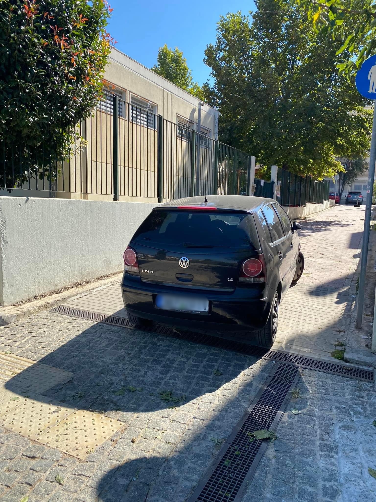 elaiorama-parkarismena_17.jpg elaiorama-parkarismena_17.jpg