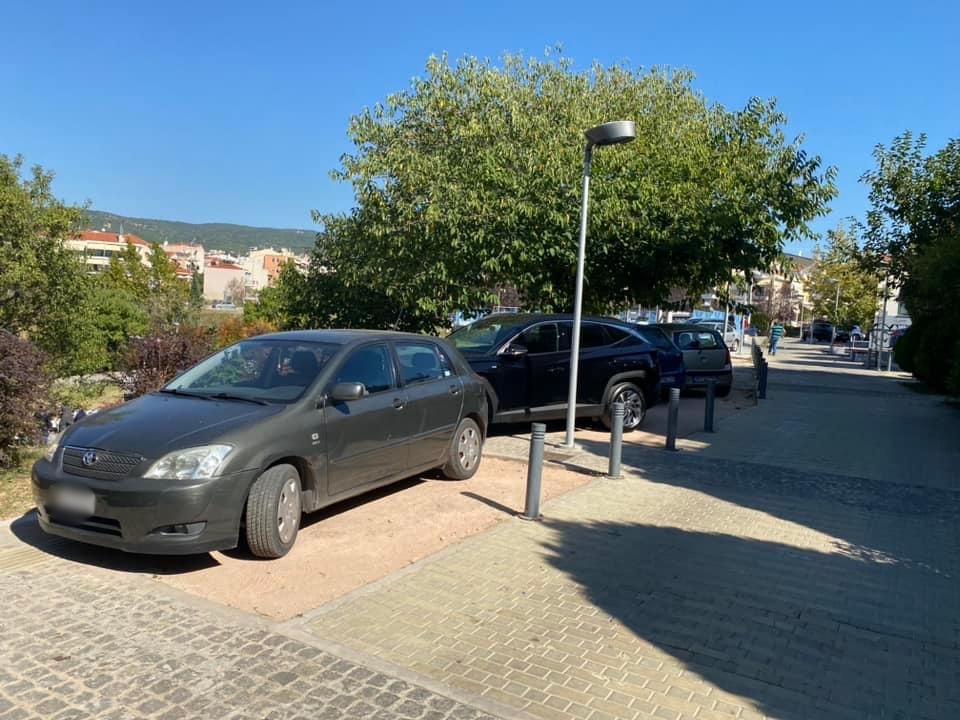 elaiorama-parkarismena_18.jpg elaiorama-parkarismena_18.jpg