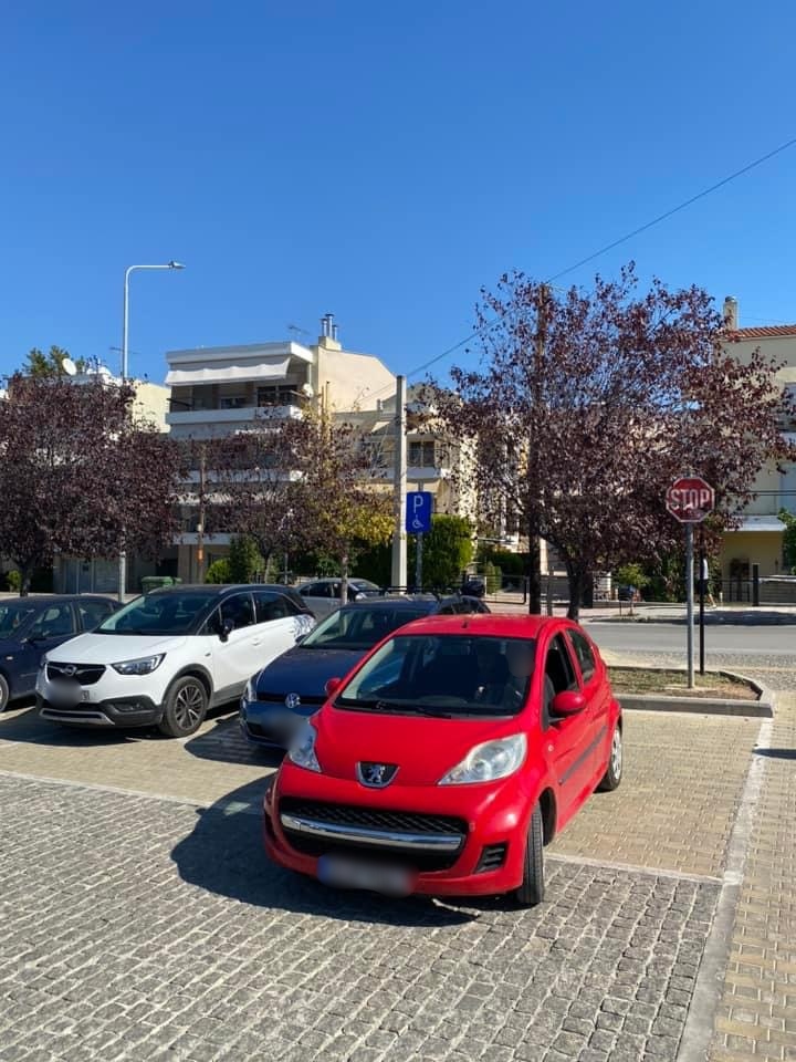 elaiorama-parkarismena_25.jpg elaiorama-parkarismena_25.jpg