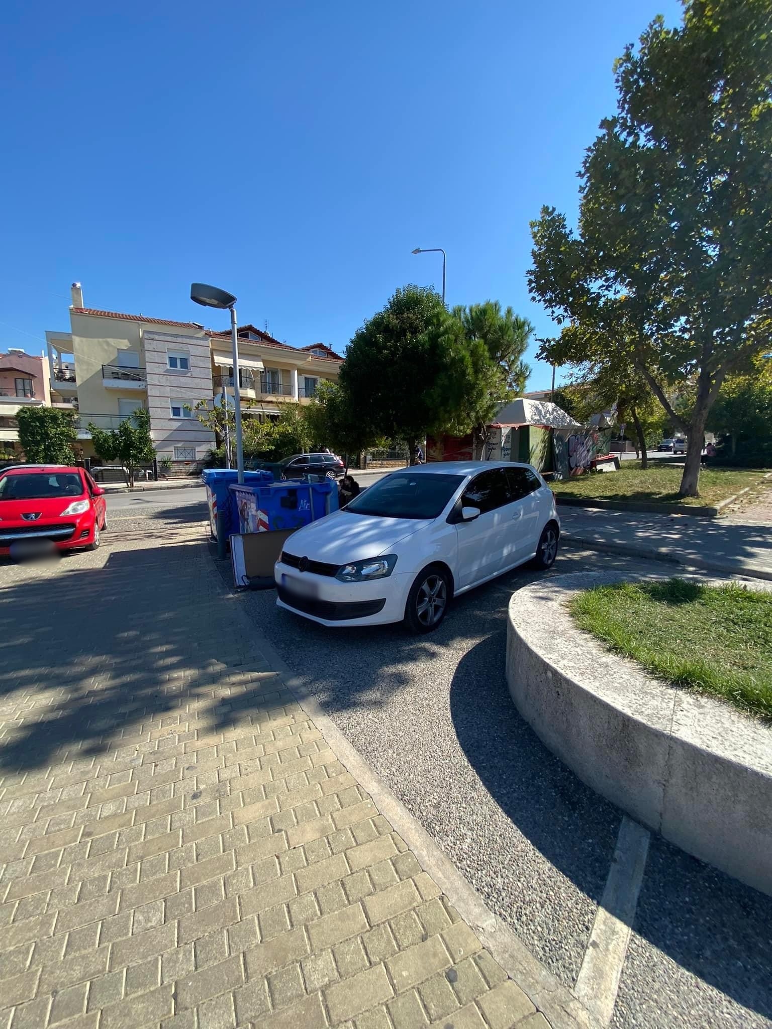 elaiorama-parkarismena_3_1.jpg elaiorama-parkarismena_3_1.jpg