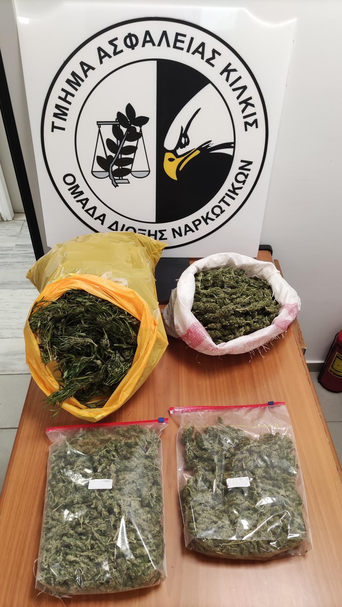 katashesi_kannabis_t.a.kilkis.jpg katashesi_kannabis_t.a.kilkis.jpg