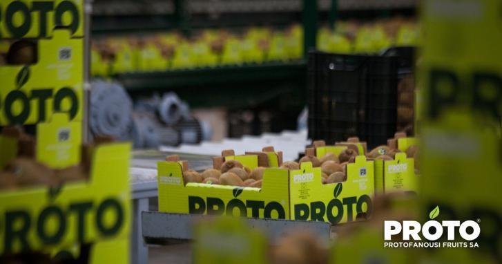 proto2.jpg proto2.jpg