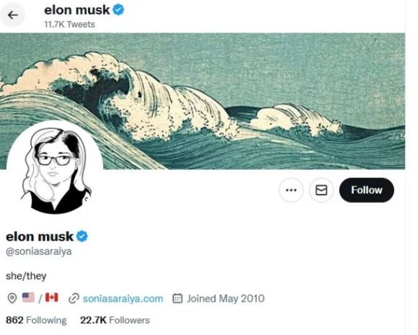 musk1.jpg