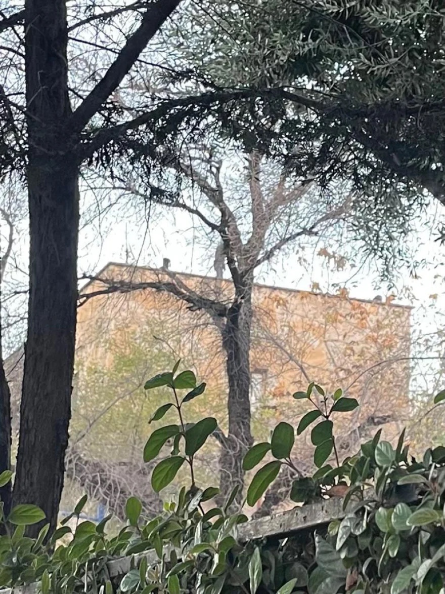 prosfygika_syllipsi_real_2.jpg prosfygika_syllipsi_real_2.jpg