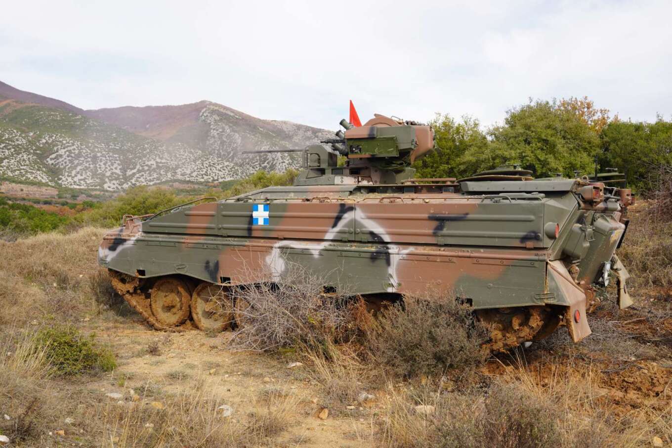marder_xanthi_2.jpg marder_xanthi_2.jpg