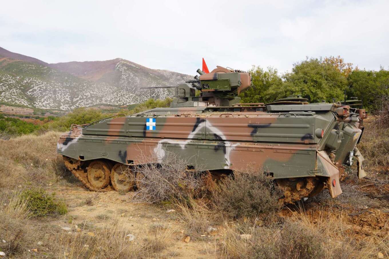 marder_xanthi_2.jpg