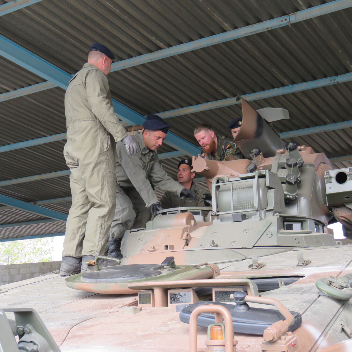 marder_xanthi_3.jpg marder_xanthi_3.jpg