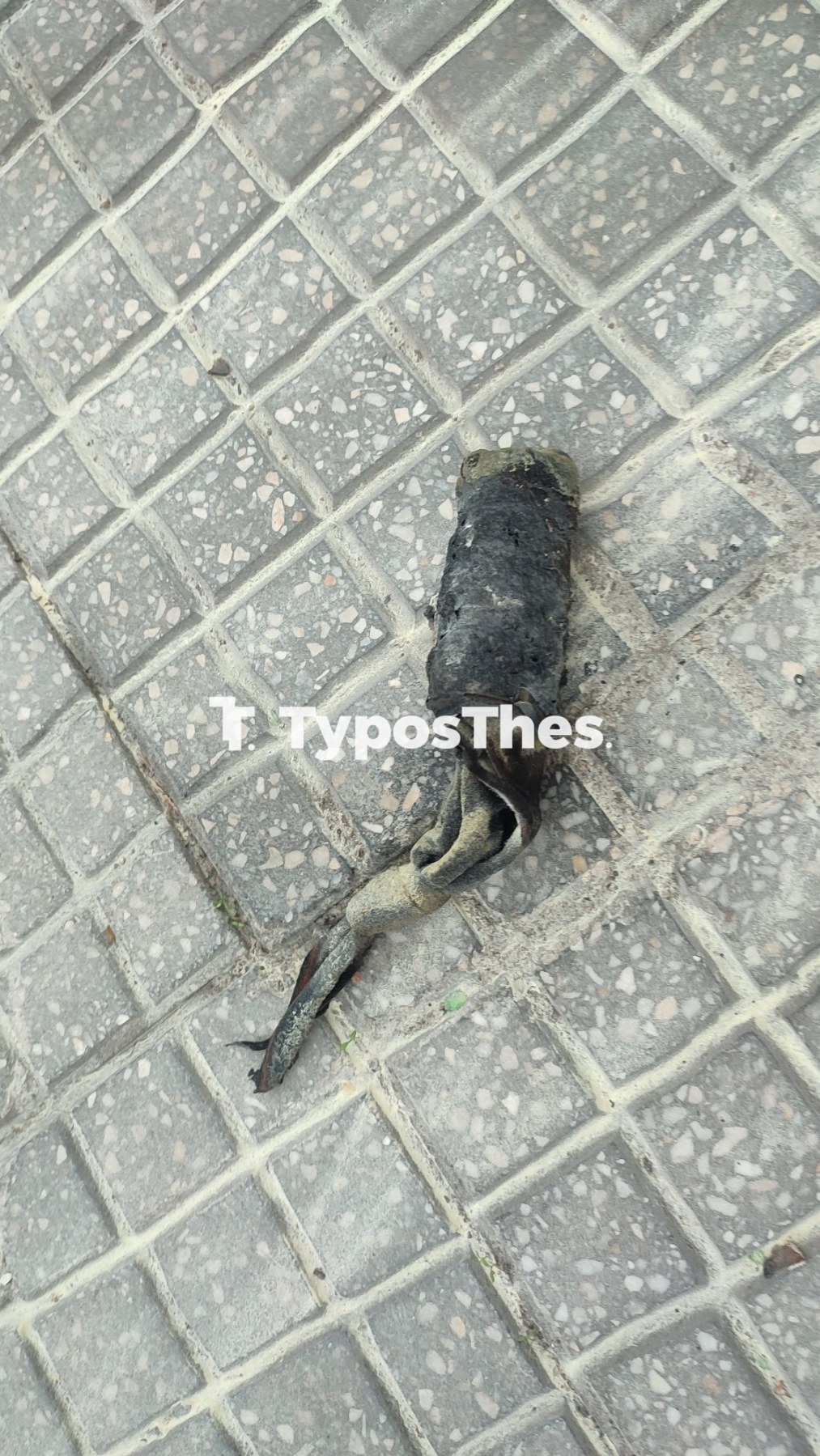 molotof7.jpg molotof7.jpg