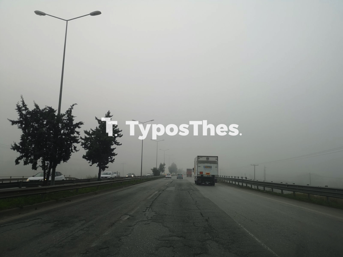 omixli_thessaloniki_9.jpg omixli_thessaloniki_9.jpg
