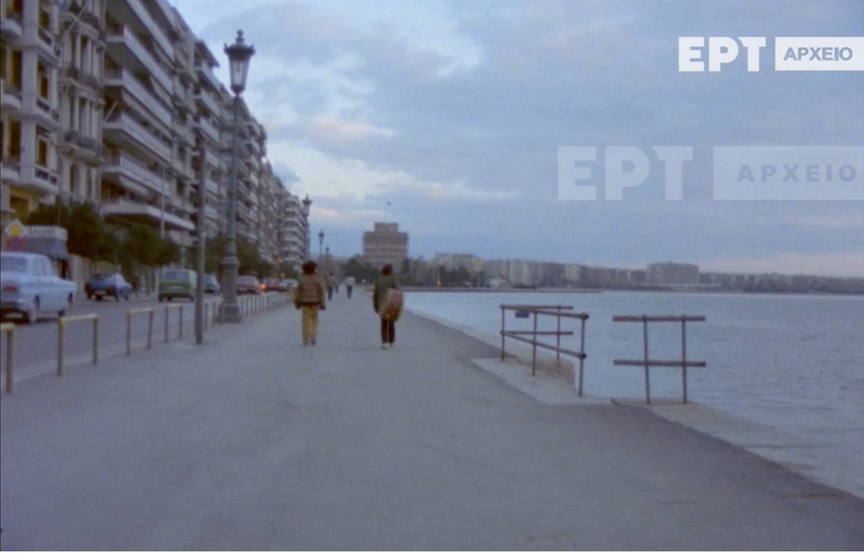 typosthes-ert-8.jpg typosthes-ert-8.jpg