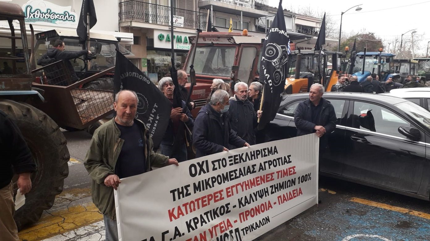 agrotes_trikala_2.jpeg agrotes_trikala_2.jpeg
