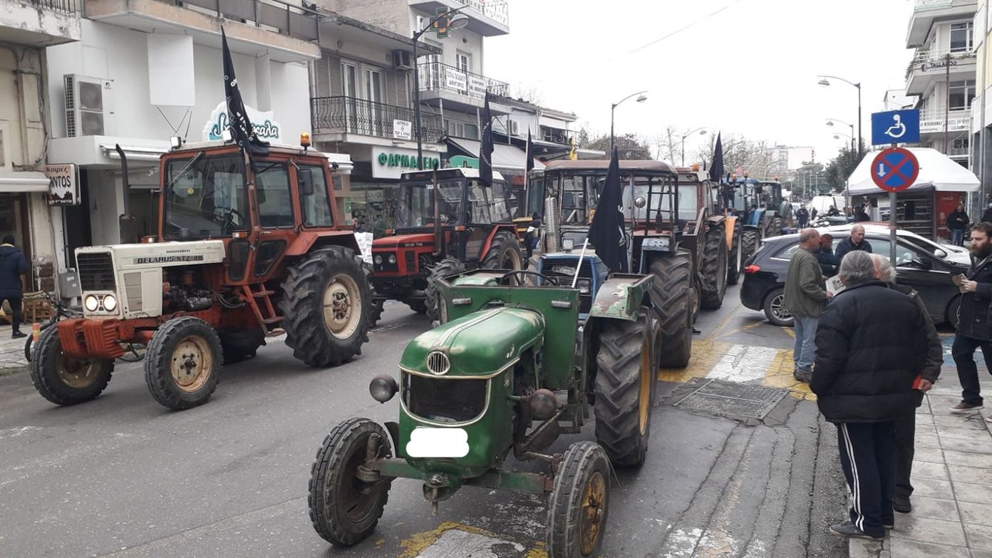 agrotes_trikala_3.jpeg agrotes_trikala_3.jpeg