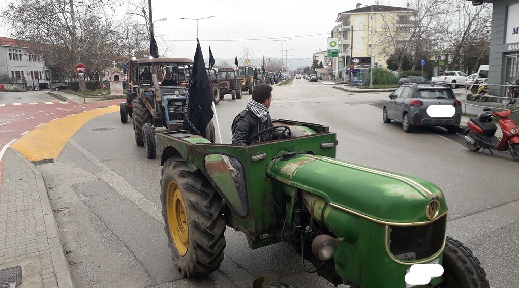agrotes_trikala_4.jpeg agrotes_trikala_4.jpeg