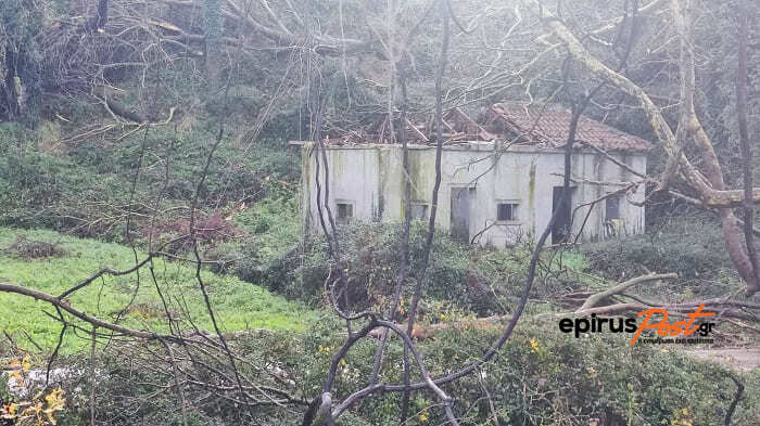 anemostrobilos_paramythia_2.jpeg anemostrobilos_paramythia_2.jpeg