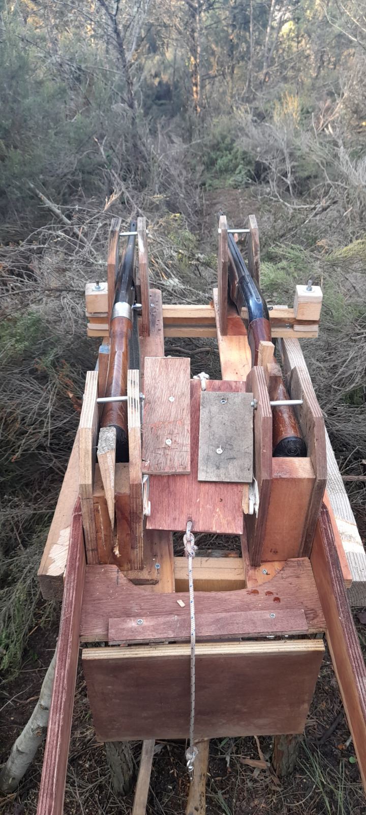 pagida_xalkidiki_agrioxoiroi_2.jpeg pagida_xalkidiki_agrioxoiroi_2.jpeg
