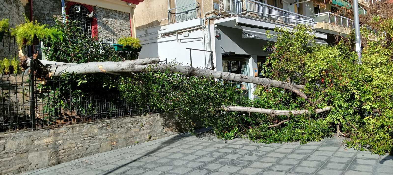 pesmeno_dentro_thessaloniki_1.jpeg pesmeno_dentro_thessaloniki_1.jpeg