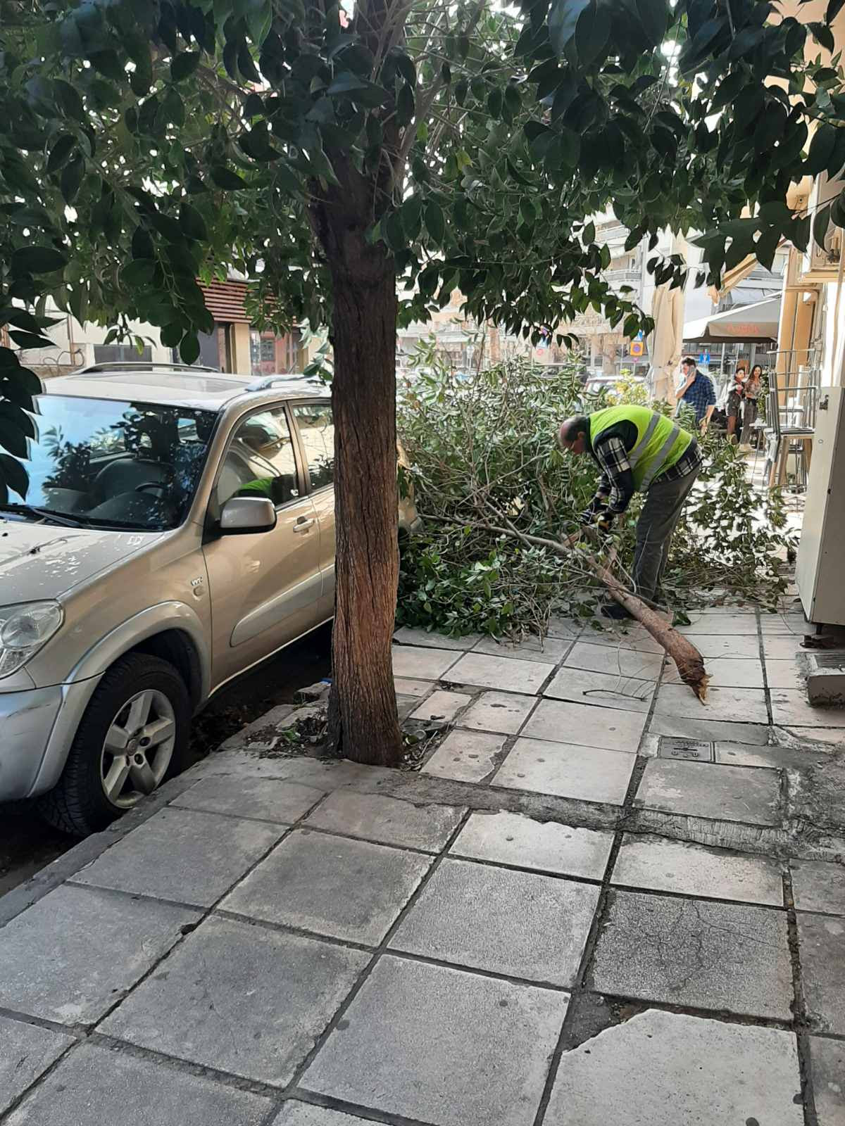 pesmeno_dentro_thessaloniki_4.jpeg pesmeno_dentro_thessaloniki_4.jpeg