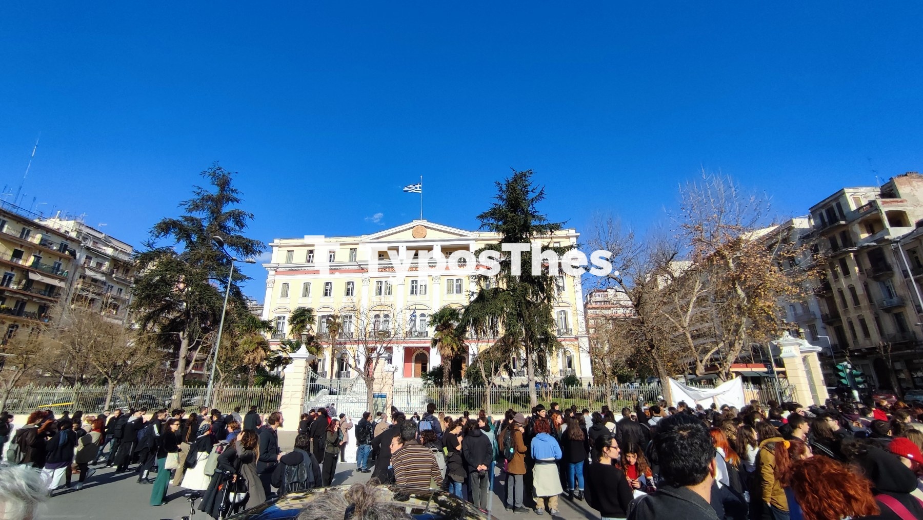 poria.jpg poria.jpg