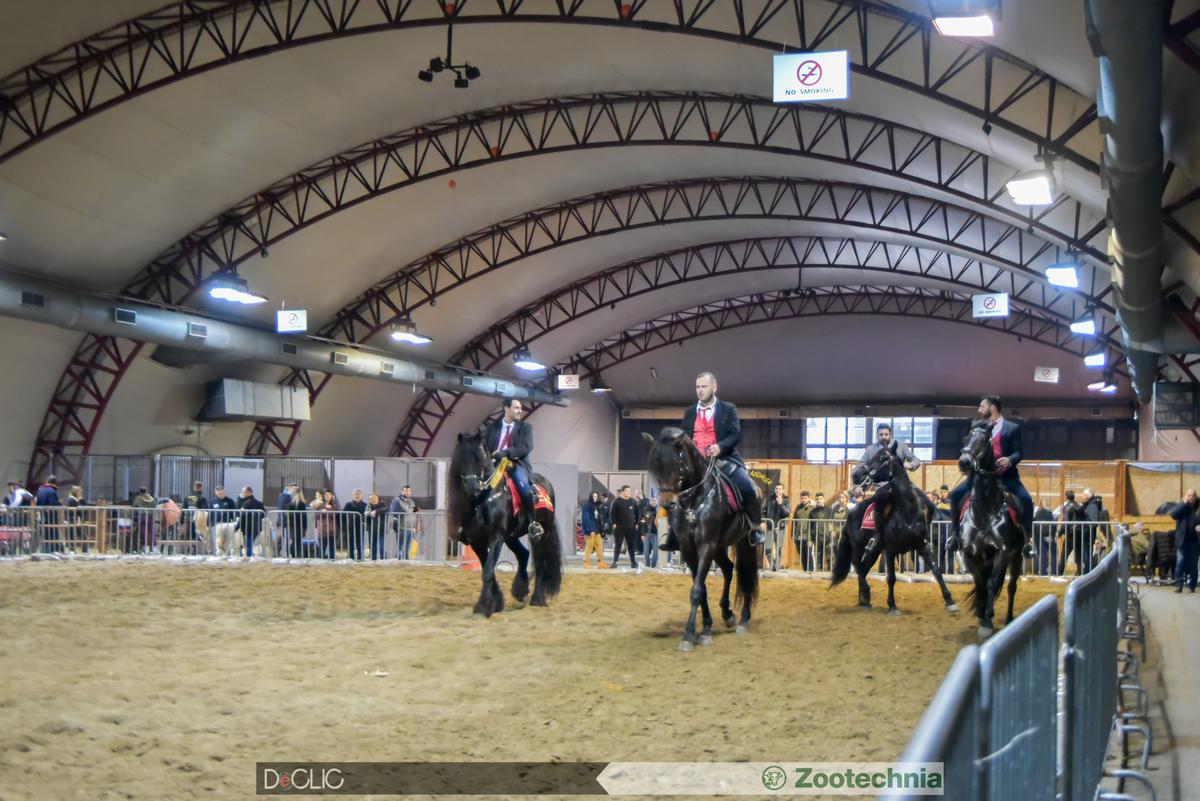 zootechnia-gallery6.jpg zootechnia-gallery6.jpg