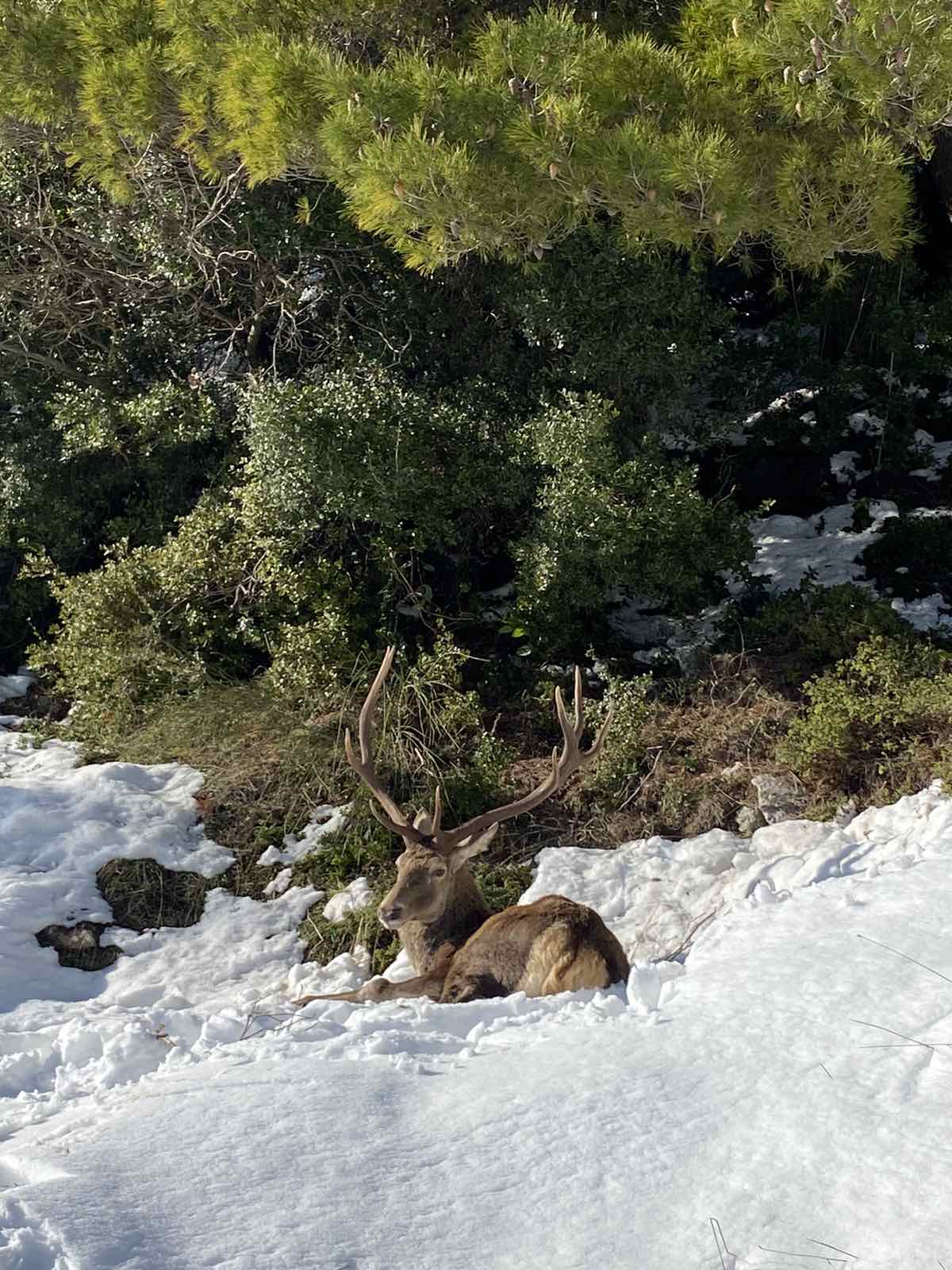 elafi_spiti_3.jpeg elafi_spiti_3.jpeg