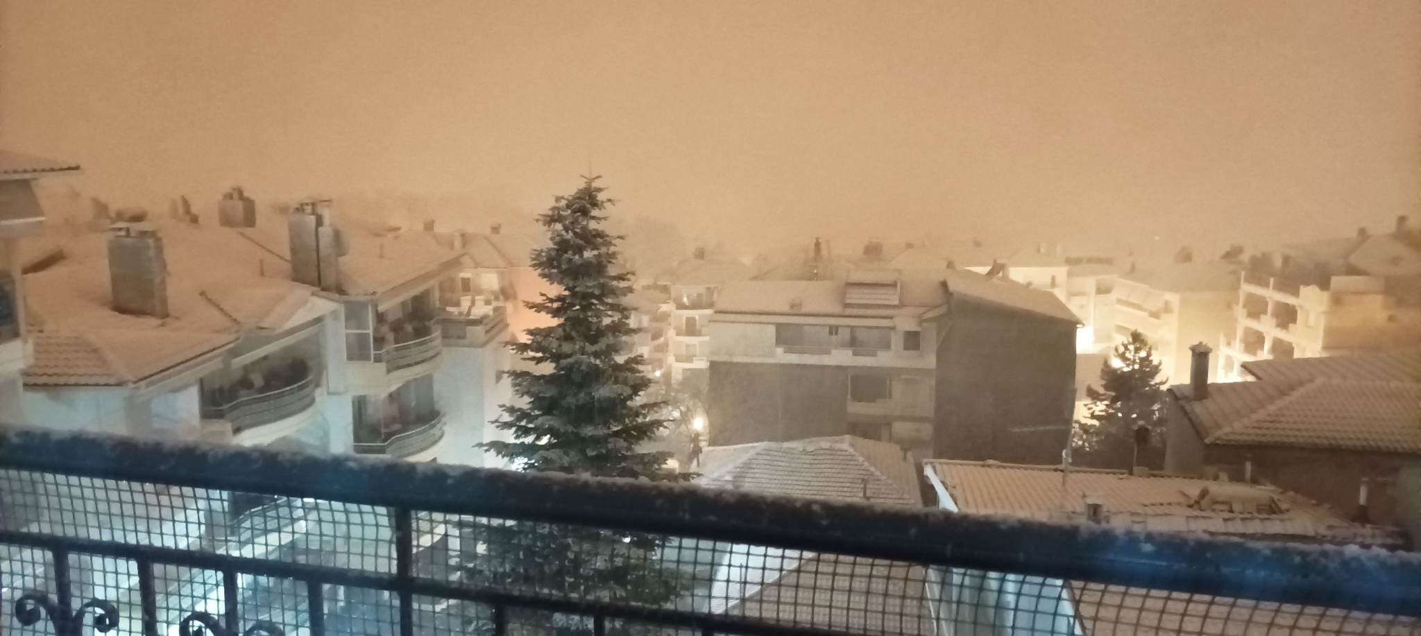 xioni_kozani_6.jpeg xioni_kozani_6.jpeg