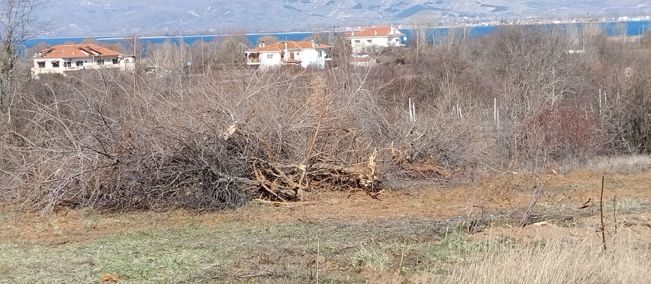 xorafi_arouda_kastoria.jpeg xorafi_arouda_kastoria.jpeg