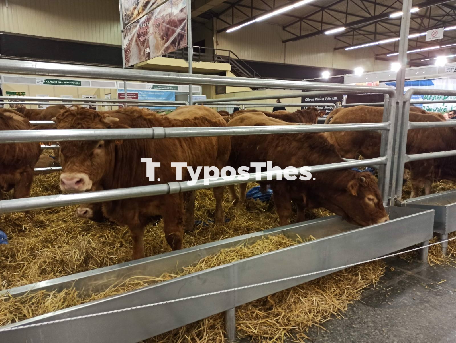 zootechnia2.jpg zootechnia2.jpg