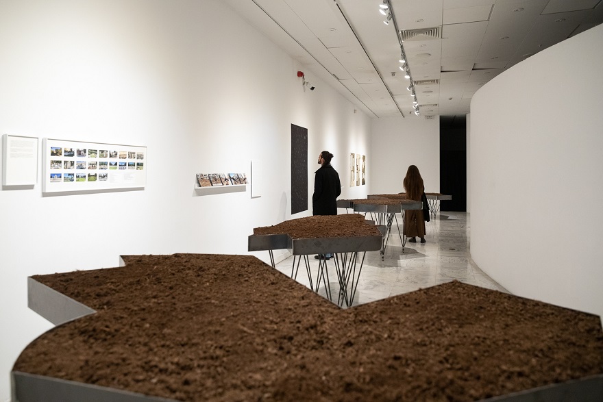 13-biennale8-mst.jpg 13-biennale8-mst.jpg