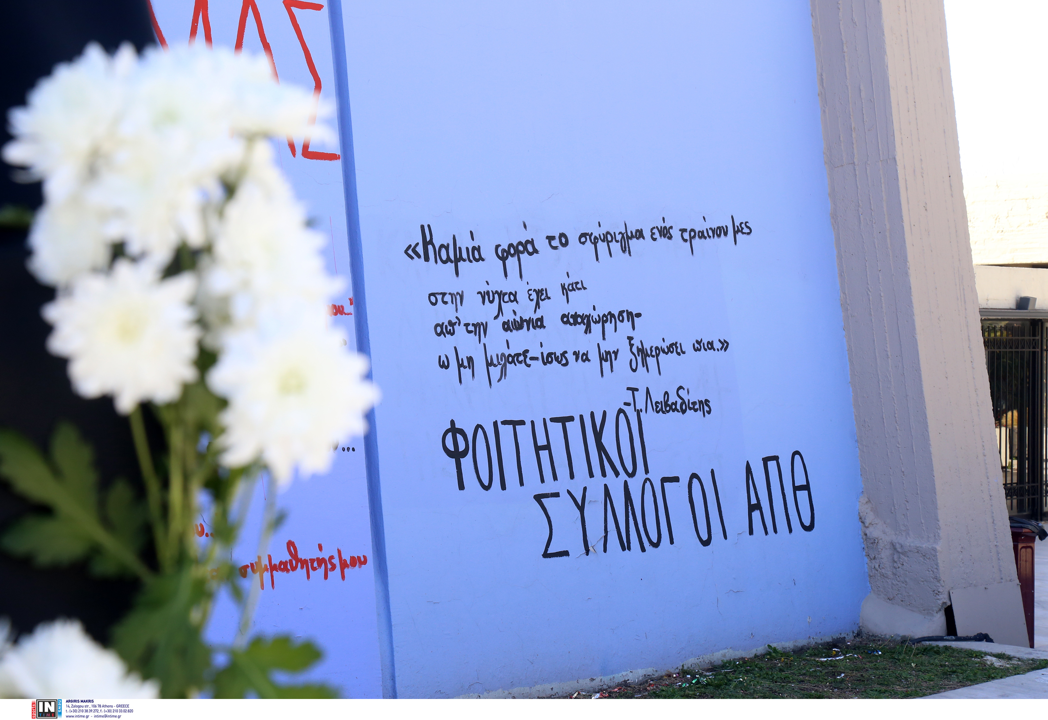 3777218.jpg 3777218.jpg