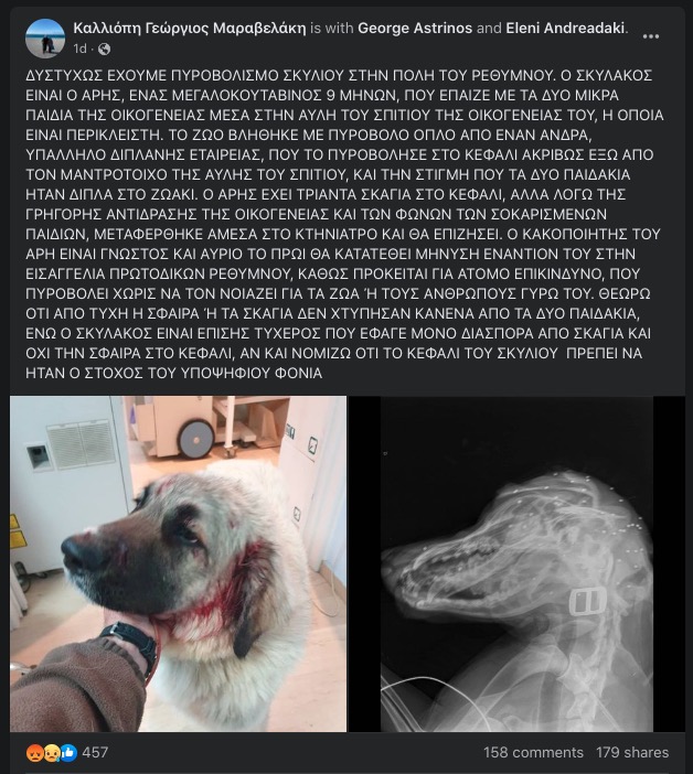 anartisi_skyllos_kriti.jpg anartisi_skyllos_kriti.jpg