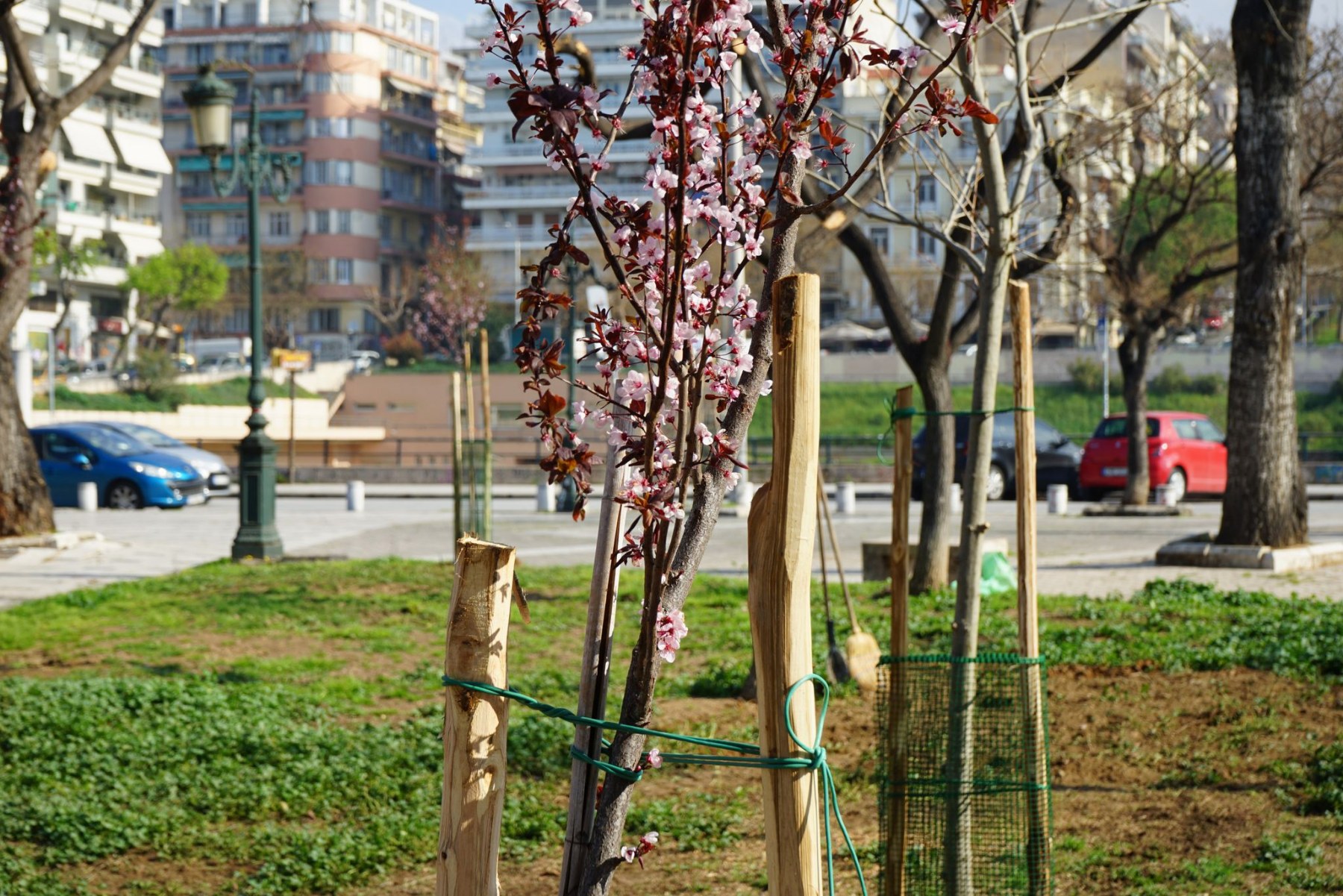 dentra_plateia_agoras_3.jpg dentra_plateia_agoras_3.jpg