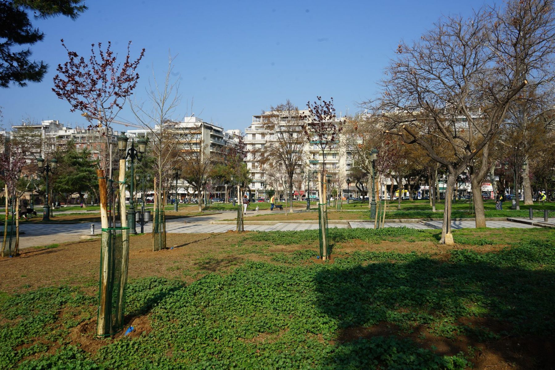 dentra_plateia_agoras_4.jpg dentra_plateia_agoras_4.jpg