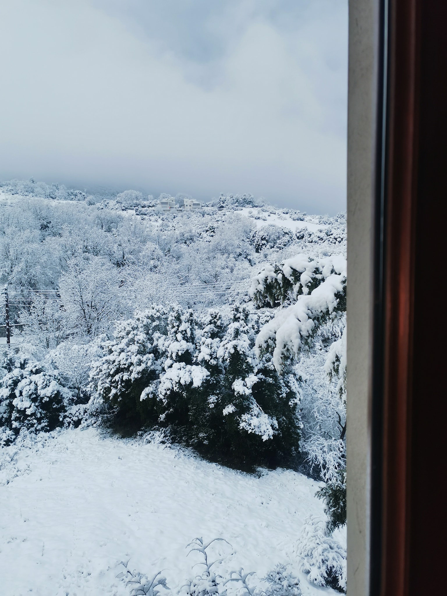 xionia_xortiatis_3.jpeg xionia_xortiatis_3.jpeg