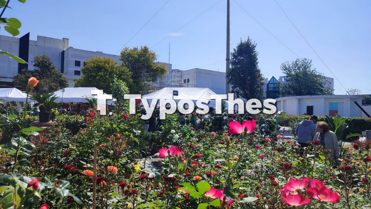anthoekthesi-deth_6.jpg anthoekthesi-deth_6.jpg