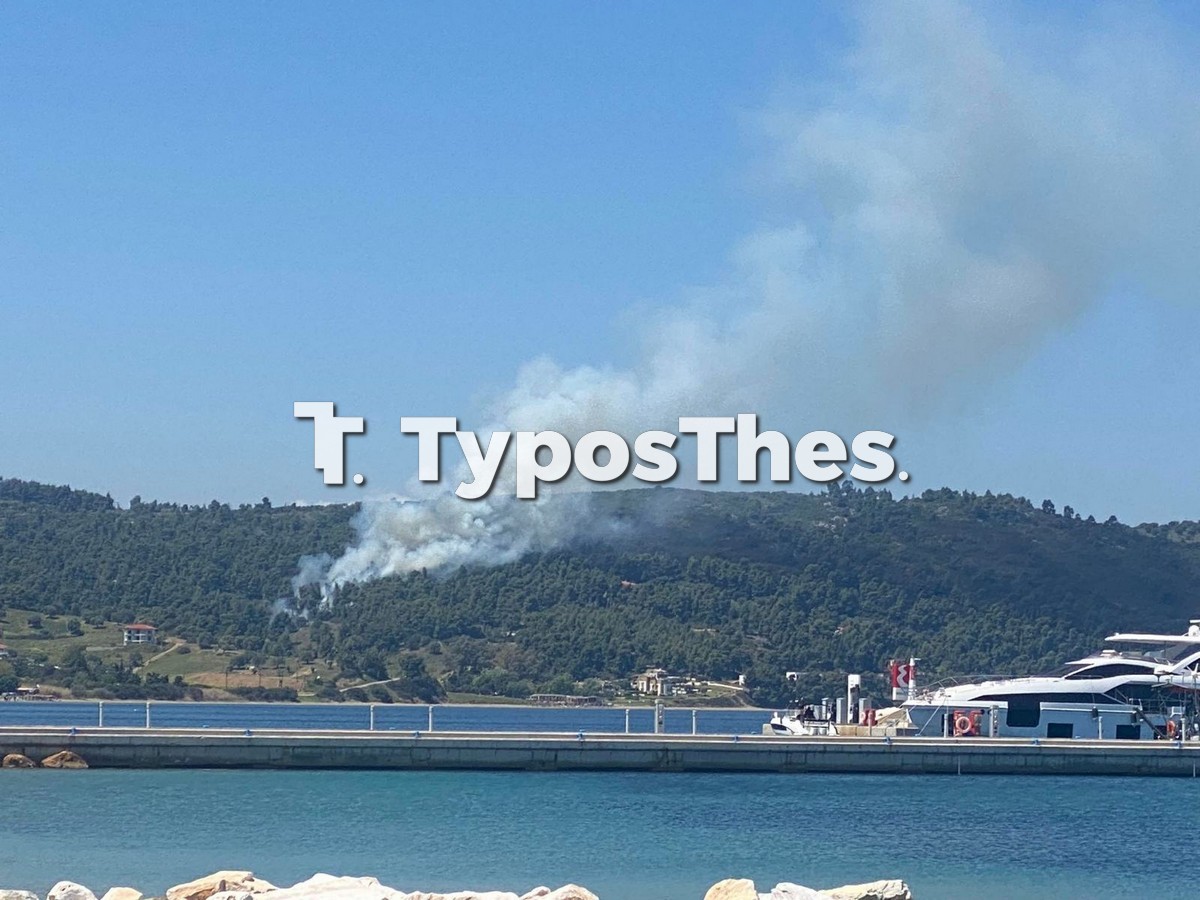 fwtia-paliouri.jpg fwtia-paliouri.jpg