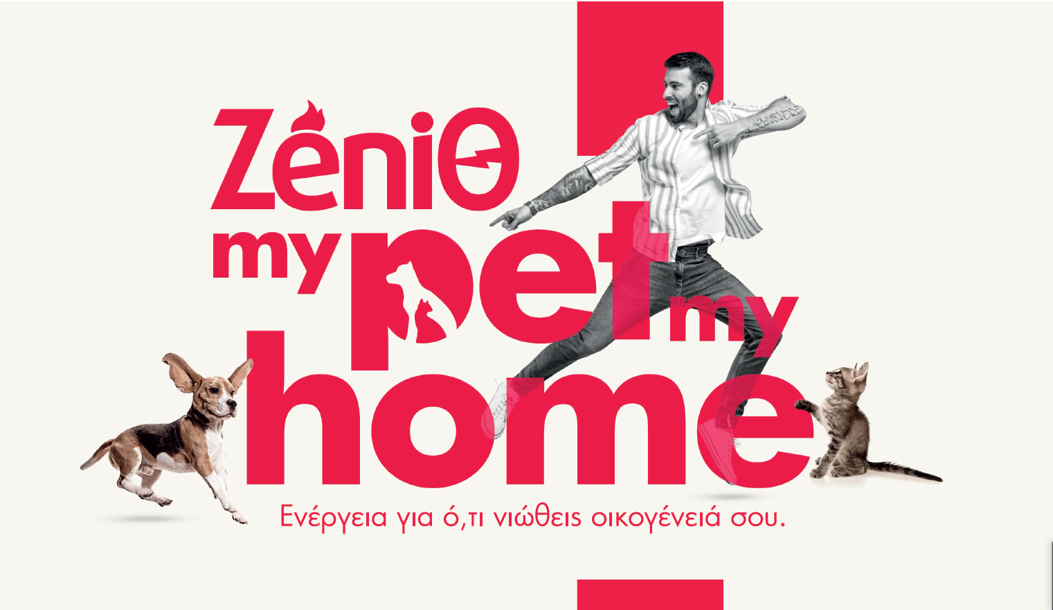 zenith_my_pet_my_home.png zenith_my_pet_my_home.png
