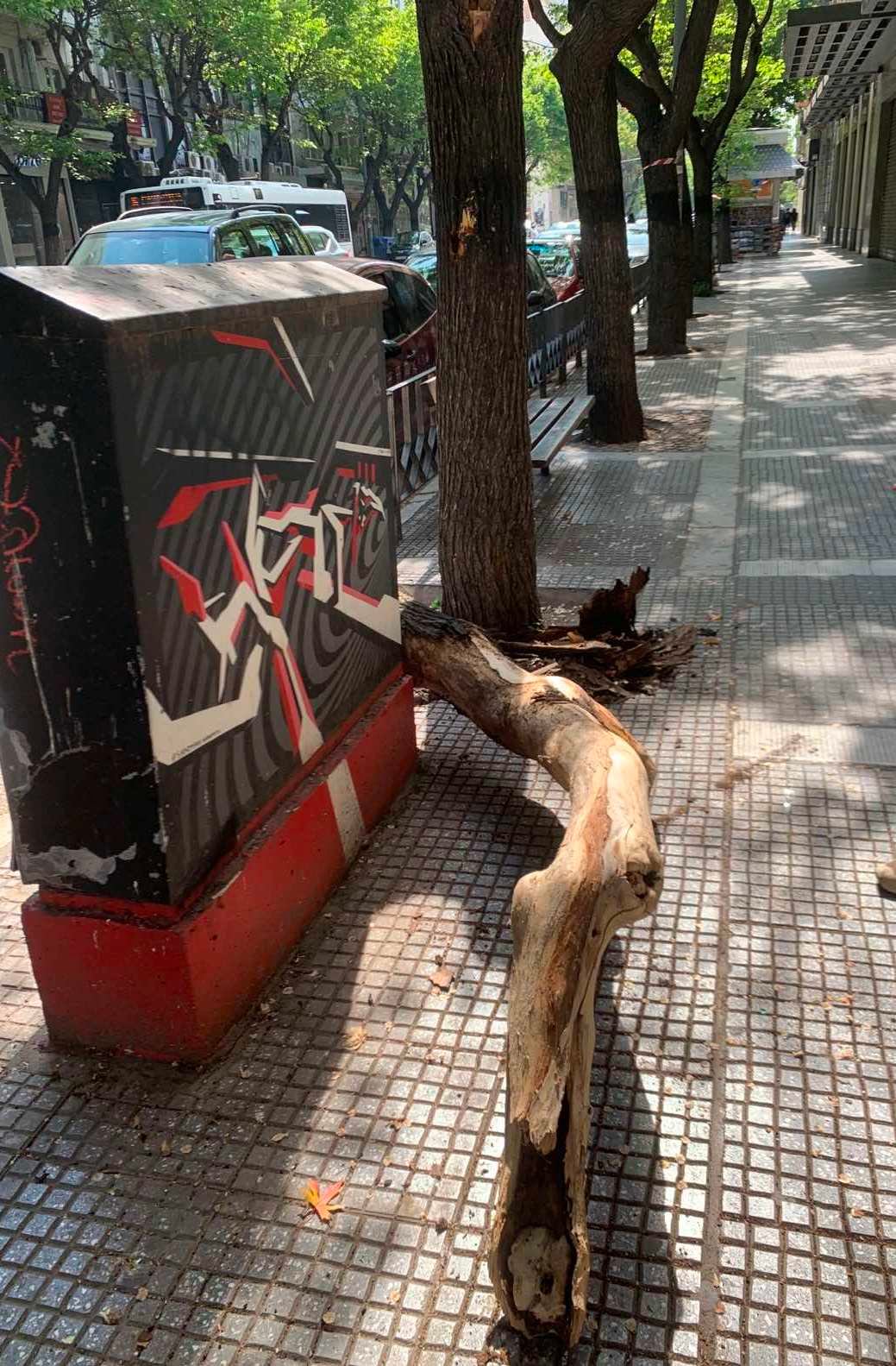dentro_tsimiski_1.jpg dentro_tsimiski_1.jpg