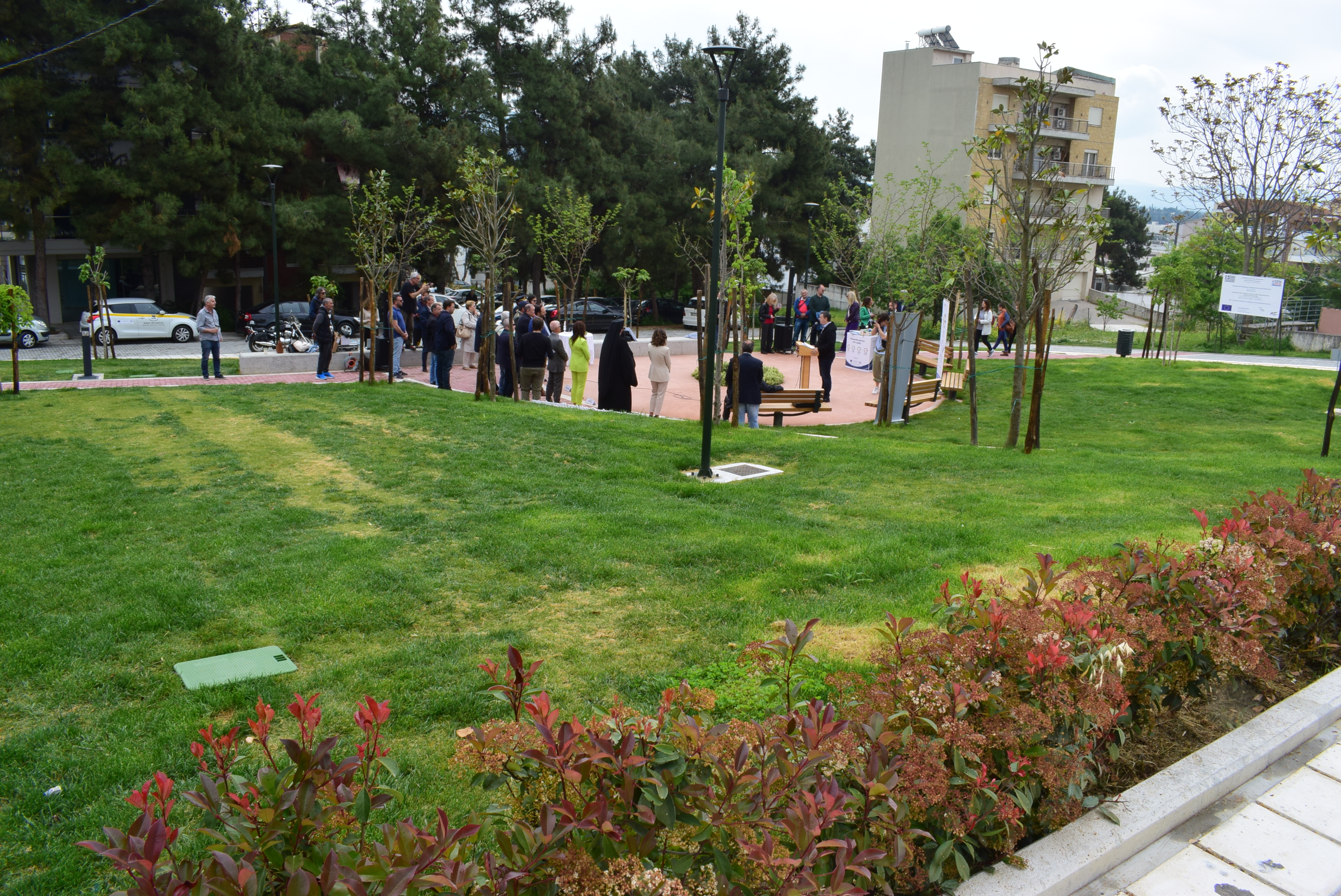 dsc_0047.jpg dsc_0047.jpg