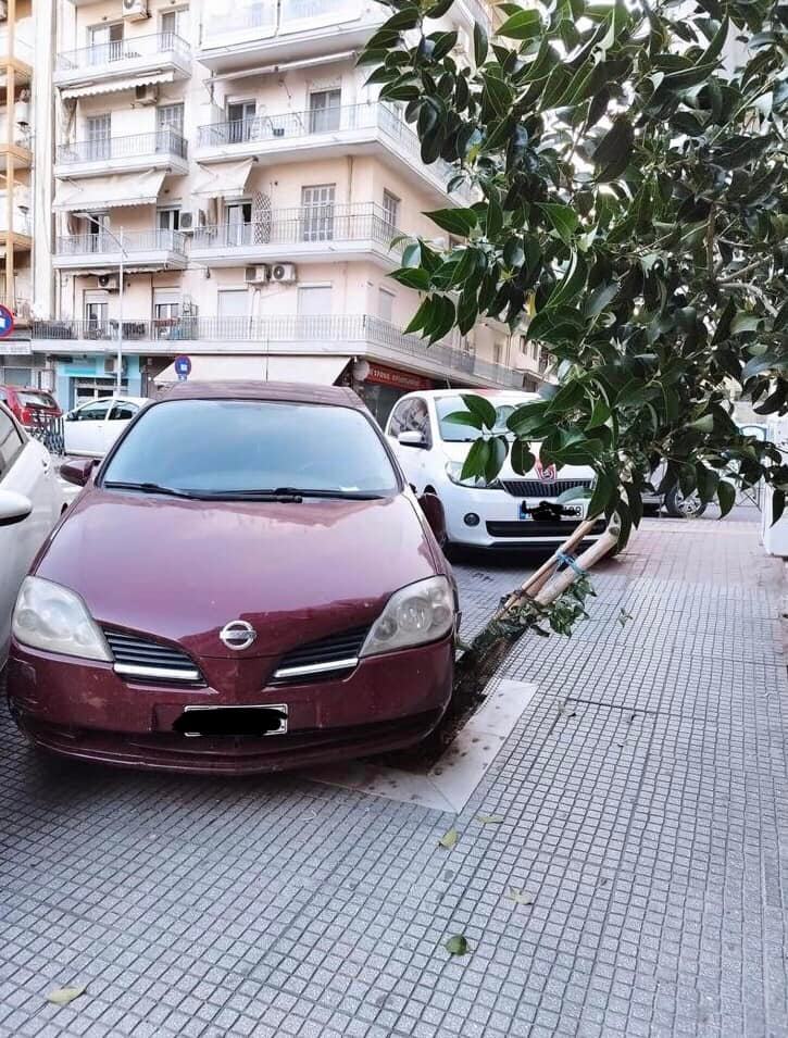 parkarisma_dentro.jpg parkarisma_dentro.jpg