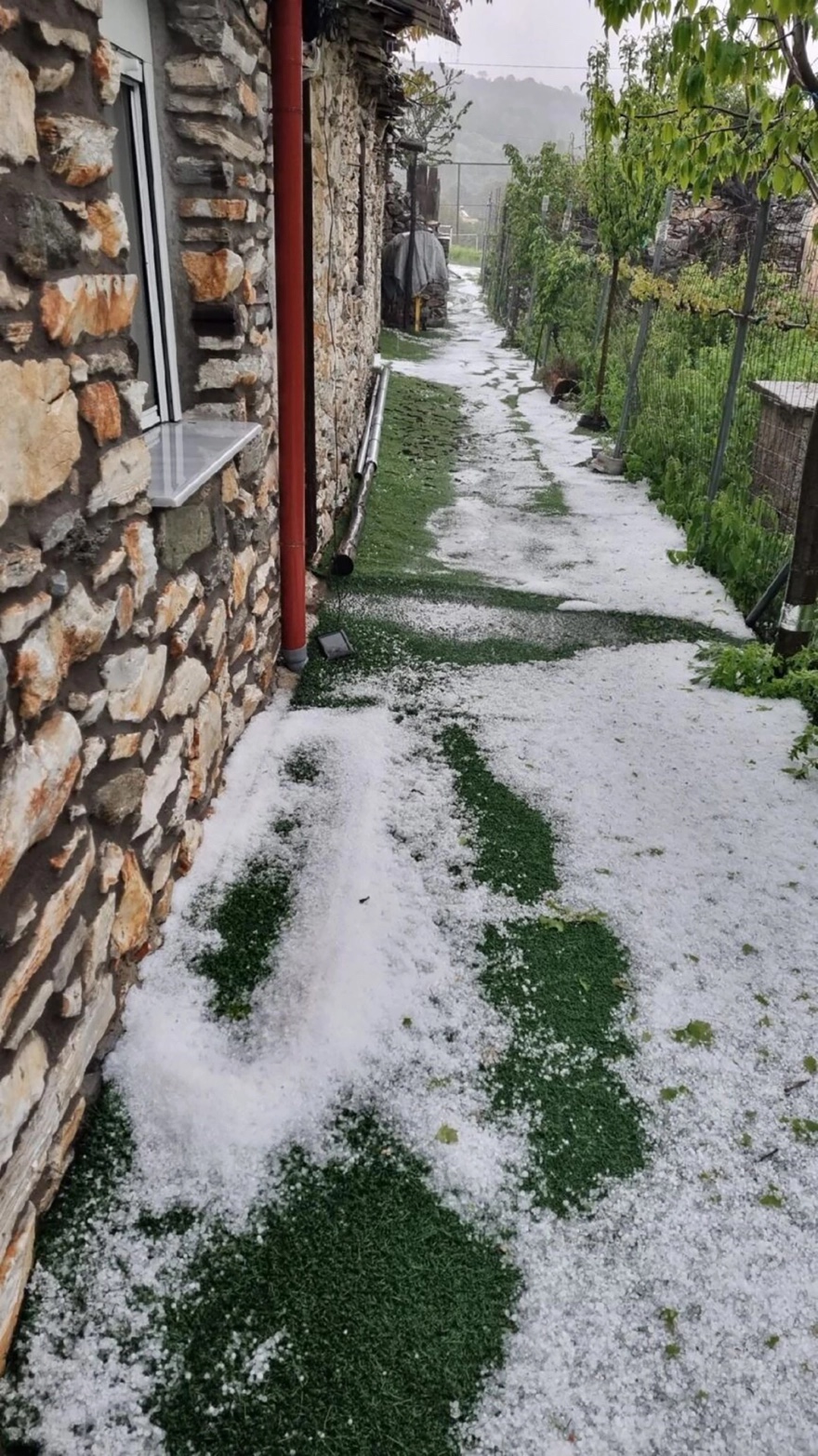 xalazi_karya_3.jpg xalazi_karya_3.jpg
