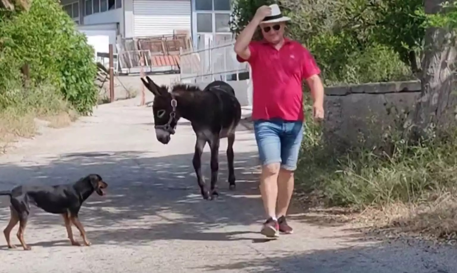 gaidaros-ekloges.jpg gaidaros-ekloges.jpg