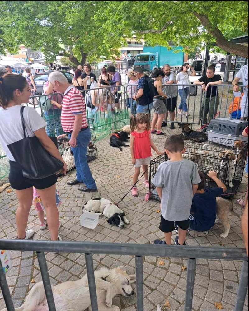 koutabia_komotini_3.jpeg koutabia_komotini_3.jpeg