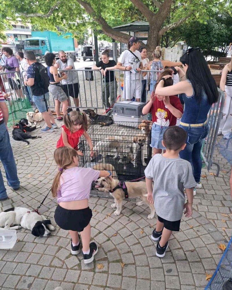 koutabia_komotini_4.jpeg koutabia_komotini_4.jpeg