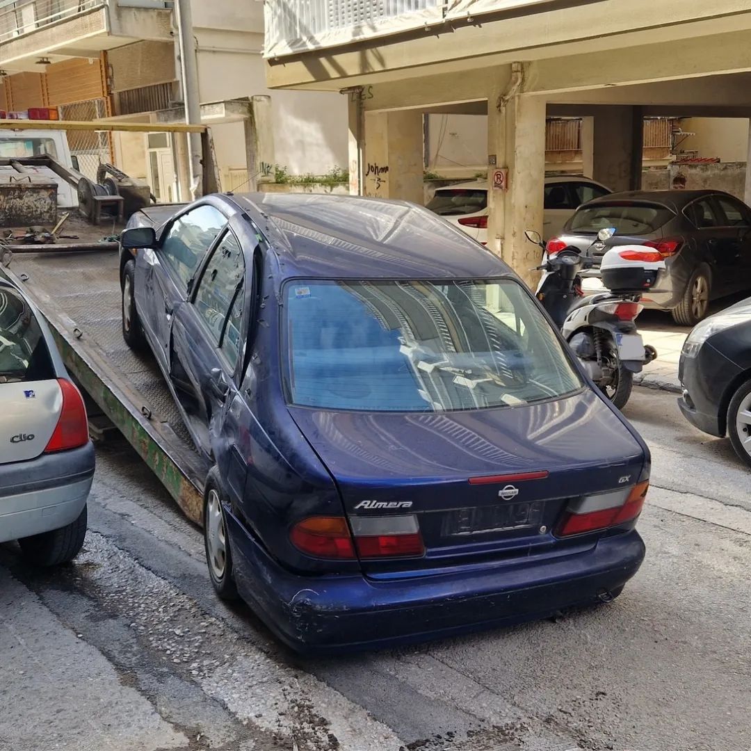paratimeno_ohima.jpg paratimeno_ohima.jpg