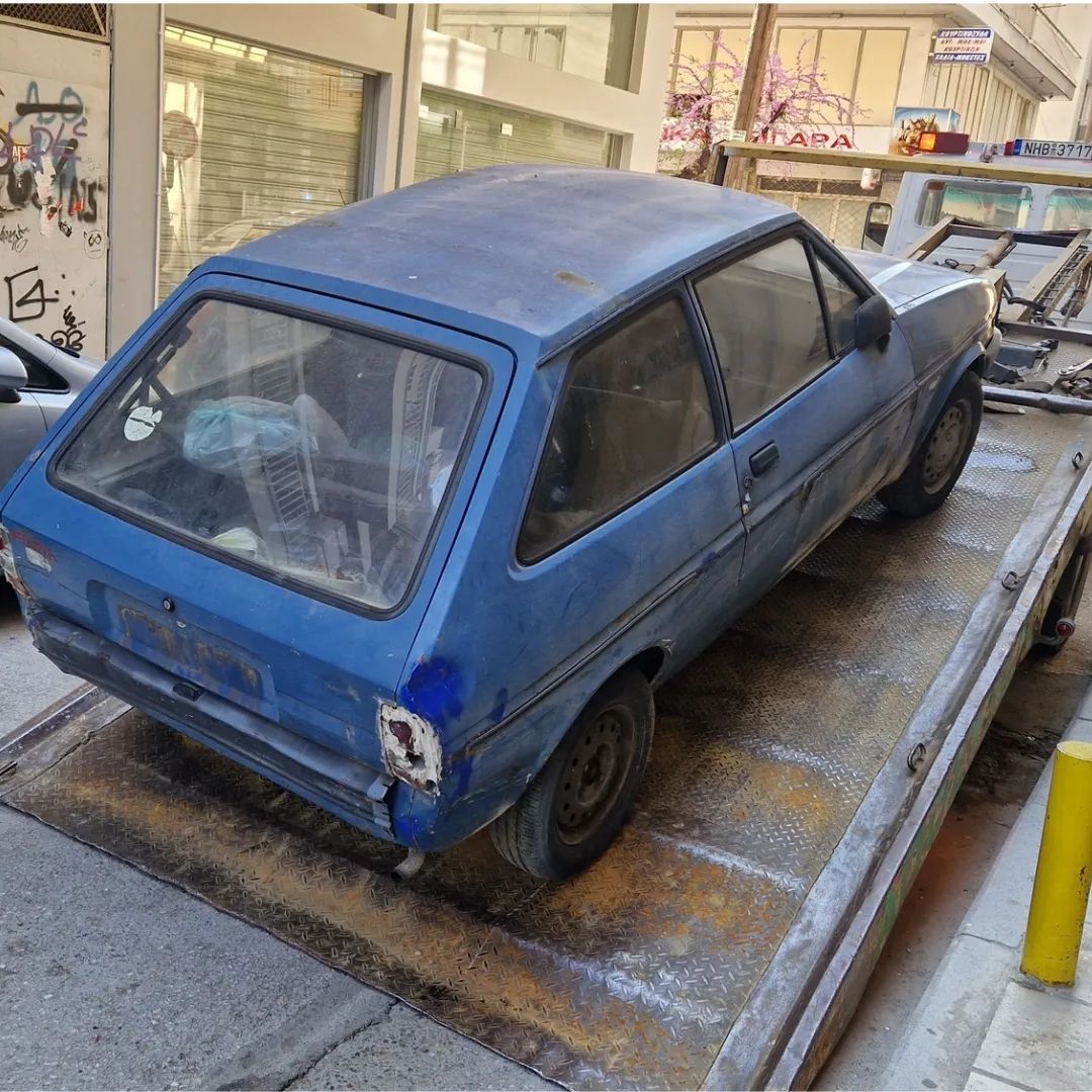 paratimeno_ohima_2.jpg paratimeno_ohima_2.jpg