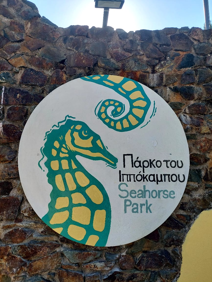 parko_ippokampos_stratoni_2.jpg parko_ippokampos_stratoni_2.jpg