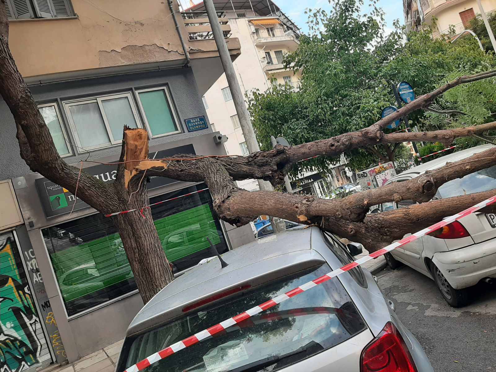 ptosi-dentrou1.jpg ptosi-dentrou1.jpg