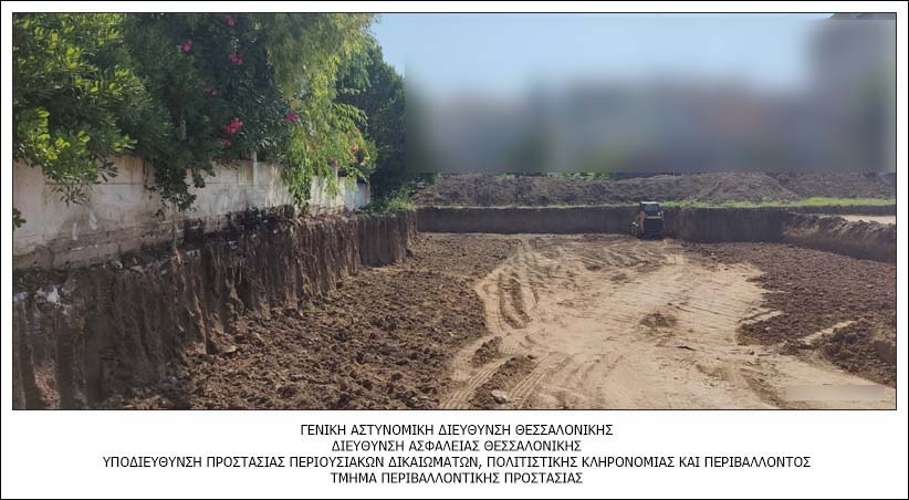rypansi_apoblita_3.jpeg rypansi_apoblita_3.jpeg