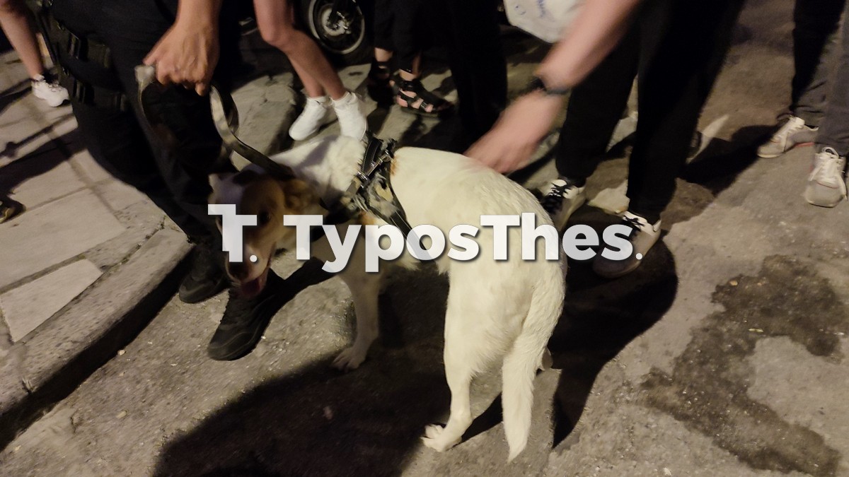 tampourwmenos-kentro_4.jpg tampourwmenos-kentro_4.jpg