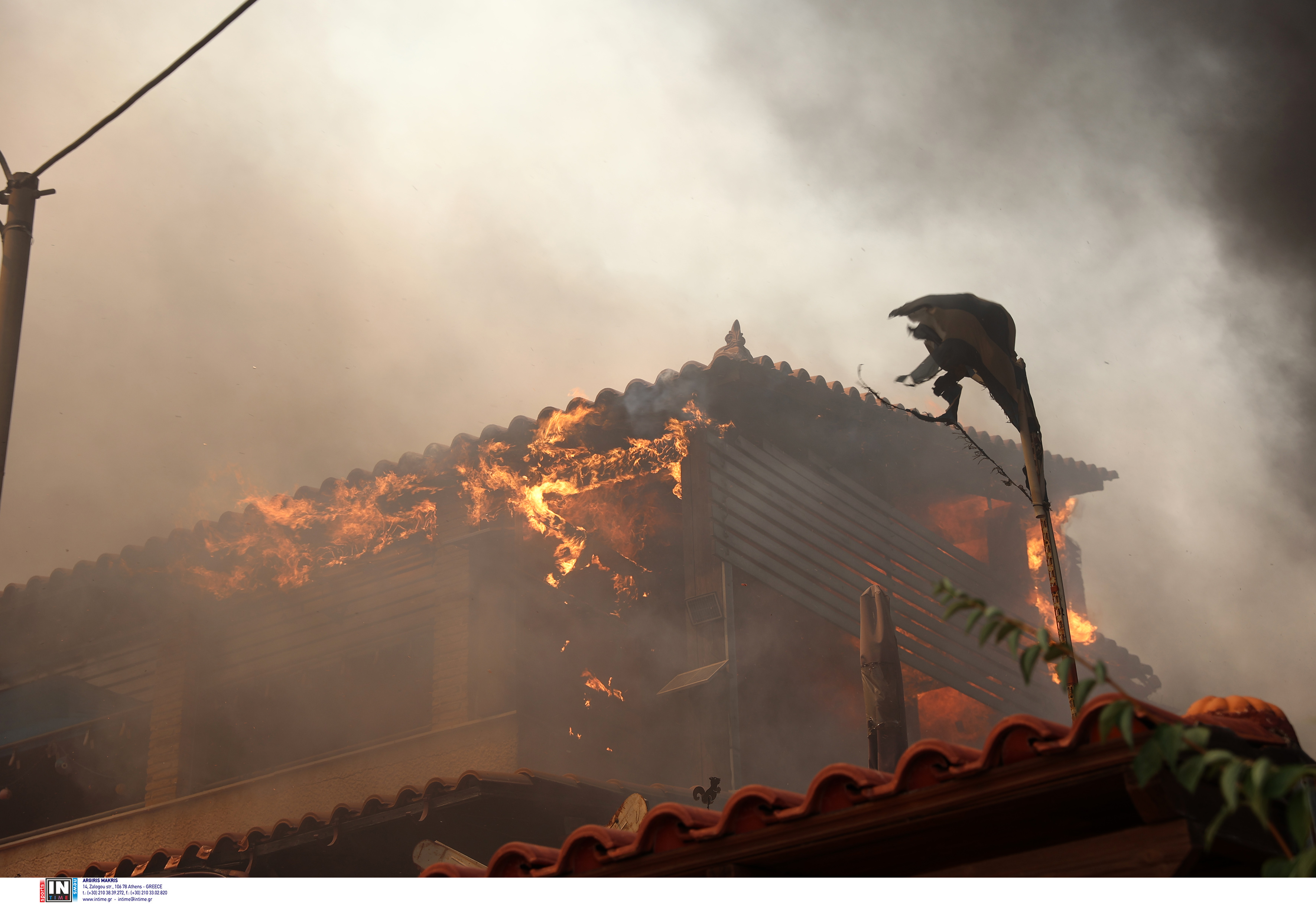 fotia-koubaras_1.jpg fotia-koubaras_1.jpg
